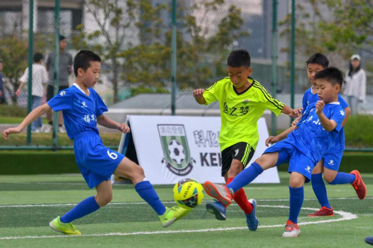 然能够贡献 然能够贡献